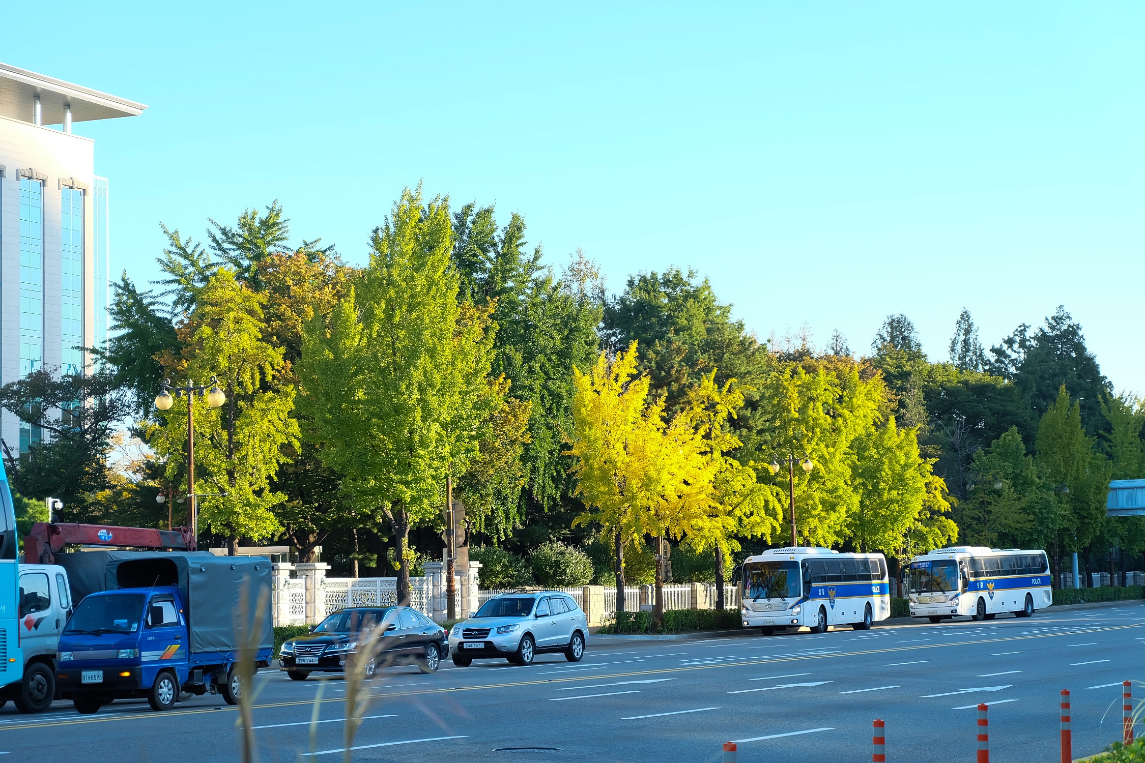 Sample Image 5